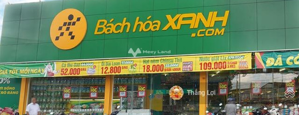 Do cần gấp tiền bán mảnh đất, 116m2 vị trí nằm ngay Phong Phú, Bình Chánh vị trí đắc địa-03