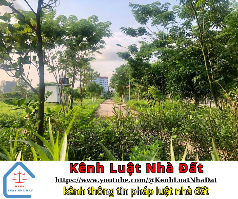 Bán đất thị xã Từ Sơn tỉnh Bắc Ninh giá 2.6 tỷ-2