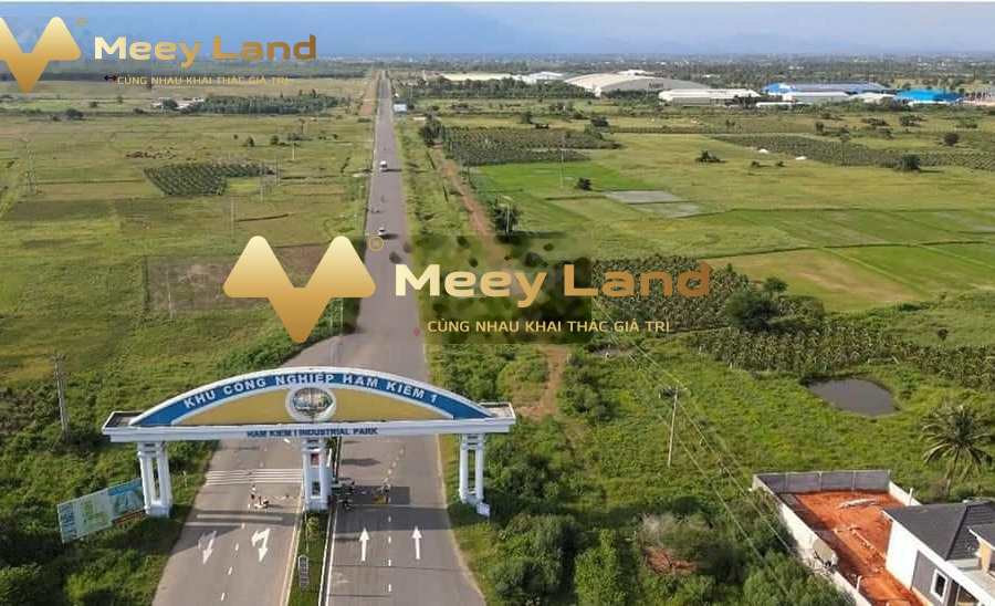 Vị trí thuận lợi ngay Hàm Thuận Nam, Bình Thuận cần bán kho bãi 1600 m2 giá bán đề xuất 1,76 tỷ thuận tiện di chuyển-01
