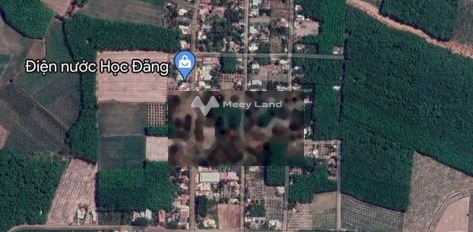 Gia đình khó khăn bán mảnh đất, 262m2 giá chỉ 452 triệu vị trí thích hợp Tân Đông, Tây Ninh giá mềm sinh viên-02