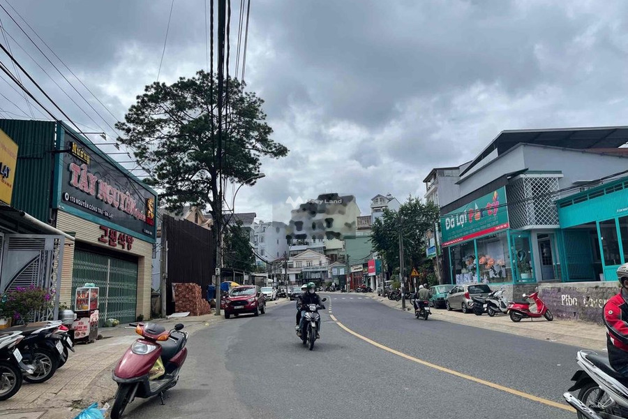 Bán nhà bán ngay với giá quy định chỉ 15 tỷ có diện tích 145m2 vị trí nằm ngay ở Nguyễn Công Trứ, Lâm Đồng-01