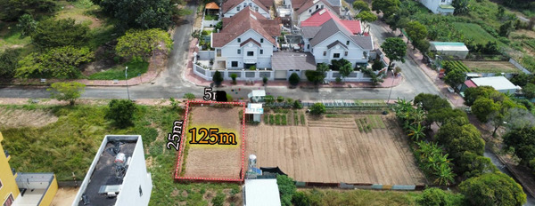 Vị trí thuận lợi nằm trên Long Thọ, Đồng Nai bán đất với diện tích rộng 125m2-02
