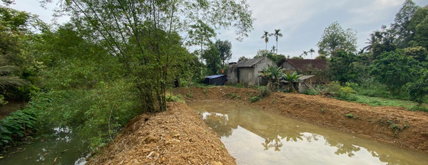 Cần bán diện tích 2100m2, giá 2,6 tỷ tại Nam Thượng, Kim Bôi, Hoà Bình-02