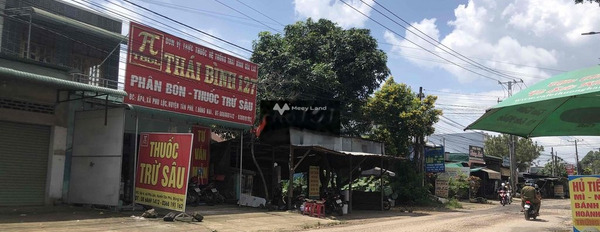 Diện tích 148m2 bán nhà ở vị trí đẹp tọa lạc ở Phú Lộc, Đồng Nai hỗ trợ mọi thủ tục miễn phí-03