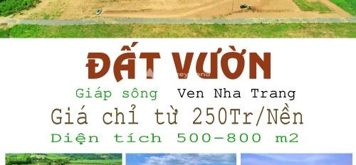 Bán mảnh đất, giá chính chủ chỉ 279 triệu có diện tích tổng là 800m2-03