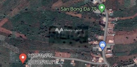 Giá bán hấp dẫn chỉ 13 tỷ bán đất với tổng diện tích 7392m2 tọa lạc ở Di Linh, Lâm Đồng, hướng Đông Nam-02