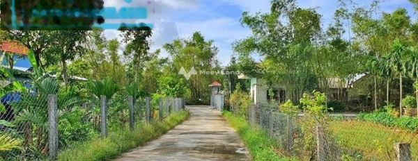 Giá 390 triệu bán đất tổng diện tích là 100m2 mặt tiền nằm ngay trên Phú Vang, Thừa Thiên Huế, hướng Đông Nam-03