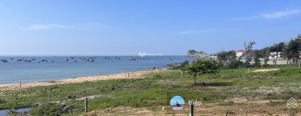 Cần ra đi gấp bán đất Hòn Lan, Bình Thuận diện tích thực như trên hình 1000m2-03
