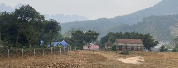 Lương Sơn, Hòa Bình bán đất giá rẻ bất ngờ 4.8 tỷ diện tích khoảng 5030m2-03
