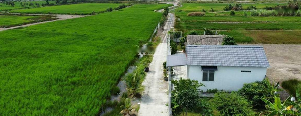 Bán đất ở Phạm Thái Bường, Đồng Nai, giá bán 1,6 tỷ-02