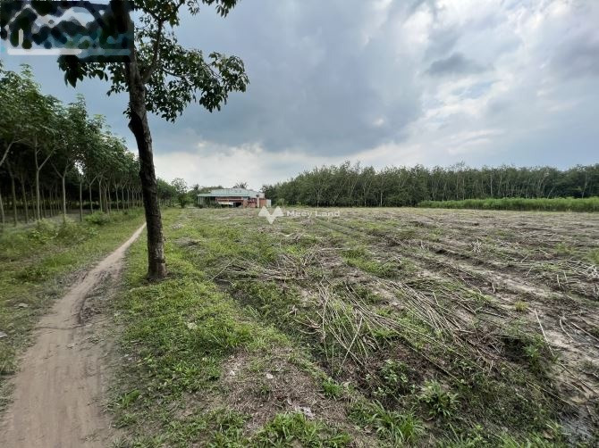 Châu Thành, Tây Ninh bán đất giá giao động từ 2.65 tỷ có diện tích tổng 4600m2-01