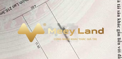 Bán đất giá 2,15 tỷ Cù Chính Lan, Thanh Khê-02