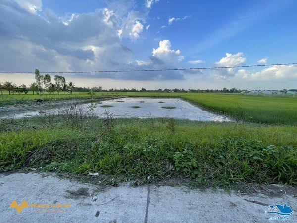Bán đất 8.150m2 đường nhánh Nguyễn Văn Nhị, cách chợ Rạch Sỏi 2,6km