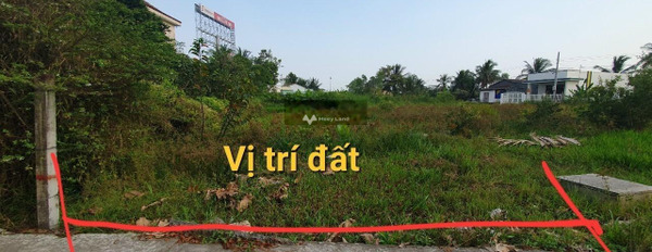 Bán đất giáp ranh thị trấn Thủ Thừa, đường tỉnh lộ 834 vào 300m-03