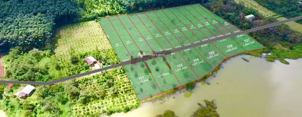 850 triệu bán đất có diện tích tổng là 1000m2 vị trí đặt ngay trung tâm Đắk Sin, Đắk Nông-02