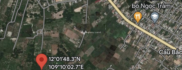 Bán đất full thổ cư, đường QH 16m, ngang 10m tại Cam Thành Bắc, Cam Lâm -02