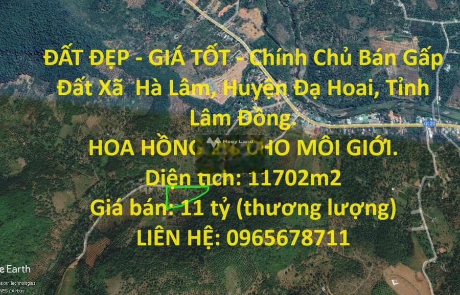 11 tỷ bán đất diện tích tổng là 11702m2 vị trí thuận lợi tọa lạc tại Hà Lâm, Lâm Đồng-01