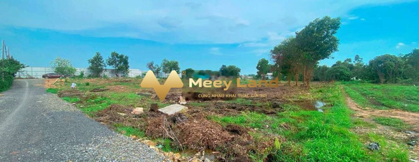 Đường Dương Diên Nghệ, Phường Tam Phước, bán đất với diện tích rộng 500 m2-03