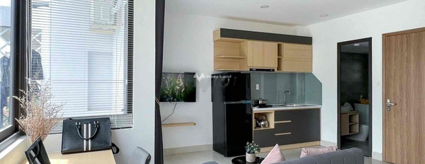 Cho thuê căn hộ với diện tích 40m2 vị trí mặt tiền ngay Tân Quy, Hồ Chí Minh thuê ngay với giá chốt nhanh chỉ 8 triệu/tháng-02