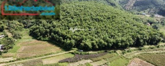 Chính chủ cần bán gấp lô đất rừng có view cánh đồng giá cực rẻ tại Lương Sơn Hòa Bình hỗ trợ pháp lý-02