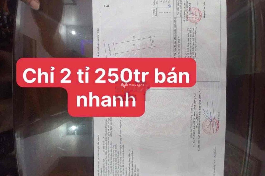 Bán đất 2.25 tỷ Tam Hiệp, Đồng Nai diện tích rất rộng 61m2-01