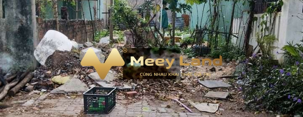 Bán đất 3,1 tỷ Liên Chiểu, Đà Nẵng với diện tích là 100m2-02