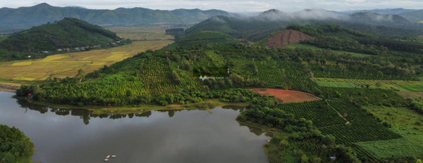 Giá mua ngay chỉ 1.2 tỷ, Bán đất Có tổng diện tích 17000m2 tọa lạc tại Krông Kmar, Krông Bông thuận tiện di chuyển-02