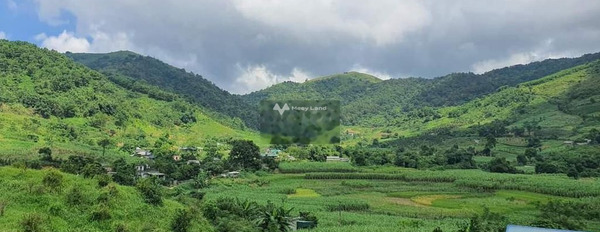 Hợp Phong, Cao Phong 5 tỷ bán đất có diện tích 1078m2-02