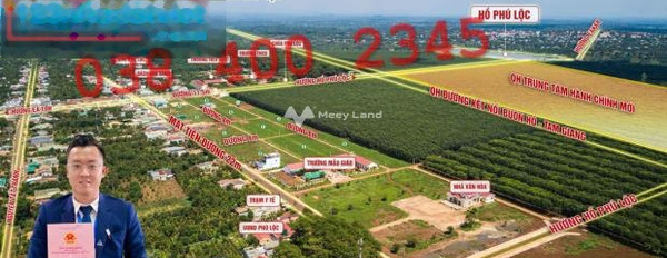 Nằm tại Phường 5, Hồ Chí Minh bán đất 899 triệu với diện tích tiêu chuẩn 132m2-03