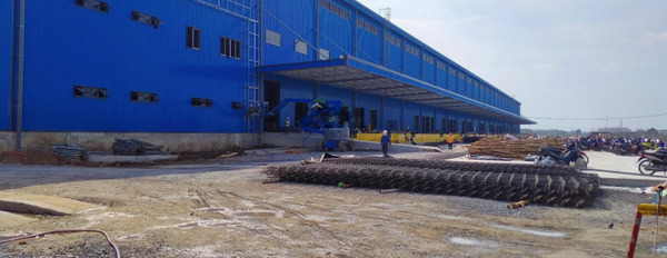 Nhà xưởng cho thuê diện tích 3000m2 tại KCN Tân Phú Trung, huyện Củ Chi, TP. HCM -03