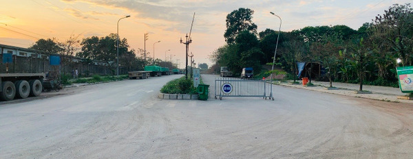 Cần bán đất mặt đường Trần Hưng Đạo khu phố 5, phường Bắc Sơn, thị xã Bỉm Sơn-03