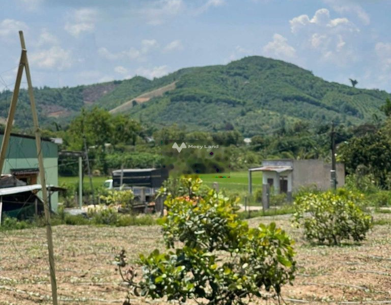 Từ 279 triệu bán đất có diện tích chung là 294m2 vị trí thuận lợi tọa lạc ở Krông Bông, Đắk Lắk-01