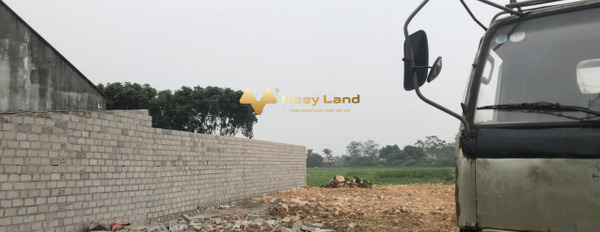 Xã Đông Yên, Hà Nội bán đất giá mong muốn 1.3 tỷ dt tiêu chuẩn 180m2-03