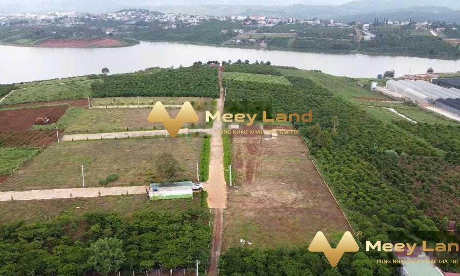 Giá bán thỏa thuận chỉ 700 triệu, Bán đất diện tích tổng 150 m2 vị trí thuận lợi gần Ngô Quyền, Di Linh gọi ngay!-01