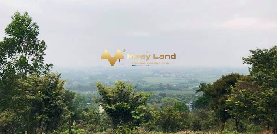 Cần tiền ngay bán mảnh đất, 1908 m2 giá bán quy định chỉ 33.96 tỷ vị trí thuận lợi gần Huyện Quốc Oai, Hà Nội khu vực tiềm năng