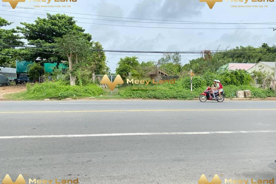 Bán đất đường Quốc Lộ 1A, huyện Long Hồ, tỉnh Vĩnh Long-01
