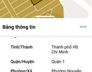 Nằm tại Nguyễn Thái Bình, Hồ Chí Minh, bán nhà giá 45 tỷ, diện tích 58m2-02