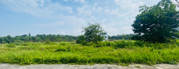 Bán đất mặt QL2B Khu đô thị Park Hill Thành Công, Định Trung, Vĩnh Yên-02