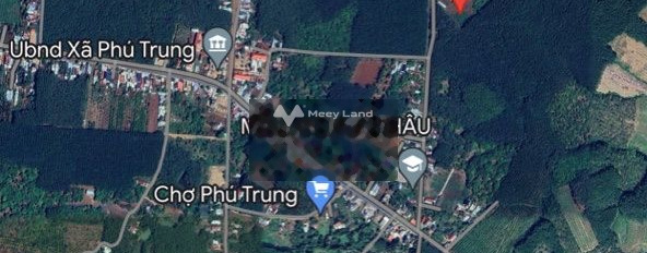 Vị trí ngay tại Đồng Tâm, Bình Phước bán đất giá bán mua liền từ 265 triệu có diện tích thực 300m2-03