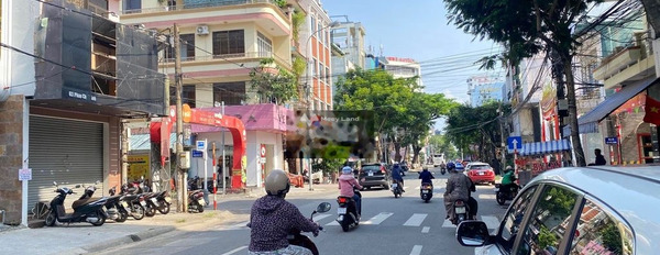 Nhà có 2 PN bán nhà bán ngay với giá khởi điểm chỉ 5.85 tỷ diện tích rộng 100m2 vị trí tốt ở Nguyễn Đình Tựu, Thanh Khê-02