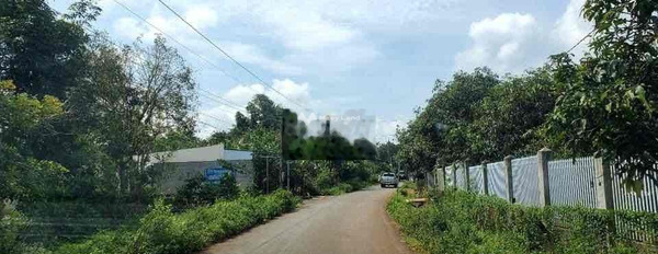Vị trí ngay trên Lộc Ninh, Bình Phước bán đất, giá bán khởi đầu chỉ 350 triệu diện tích cụ thể 300m2-03