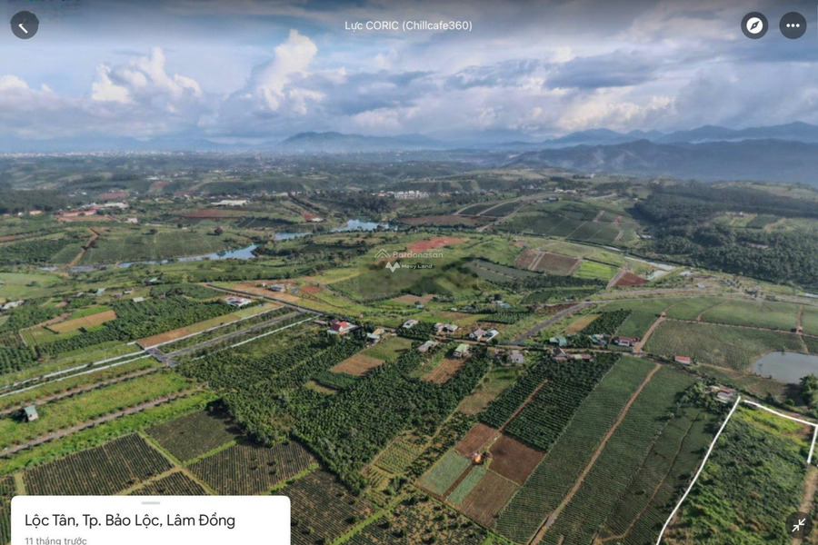 Bán đất diện tích thực là 1500m2 vị trí đặt ở trong Lộc Thanh, Bảo Lộc, hướng Đông - Nam-01