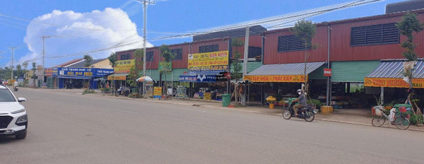 Vị trí mặt tiền tọa lạc ngay ở Đường Số 3, Bình Phước bán đất giá bán ngạc nhiên 1 tỷ có diện tích là 200m2-03