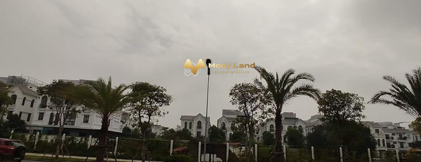Vị trí tiện lợi ngay tại Phố Việt Hưng, Phường Việt Hưng bán đất giá nóng 10.5 tỷ với dt là 100 m2-03