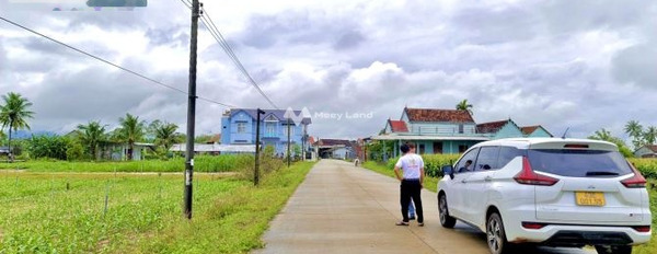 Giá bán thực tế chỉ 940 triệu, Bán đất tổng diện tích 163m2 vị trí ở Đức Minh, Quảng Ngãi, hướng Tây Bắc, đường có độ rộng 27 mét tiện ích đầy đủ-03