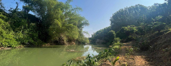 Bán vườn bưởi rộng 1 hecta giáp sông làm nhà vườn, homestay xã Khánh Phú, Khánh Vĩnh giá rẻ -02