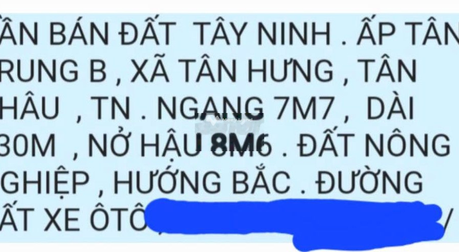 Khoảng từ 600 triệu bán đất diện tích rộng 100m2 tọa lạc ngay Tân Hưng, Tân Châu, hướng Bắc-01