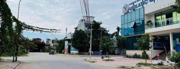 Cần bán đất thành phố Hạ Long, Quảng Ninh, giá 60 triệu/m2-02