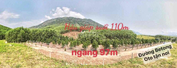 Nằm trong mức 2.45 tỷ bán đất với diện tích chuẩn 3662m2 vị trí đẹp ngay ở Khánh Vĩnh, Khánh Hòa-02