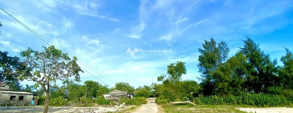 Bán đất 780 triệu Phong Hải, Phong Điền có diện tích chuẩn 135m2, độ ngang lộ 12 mét-02